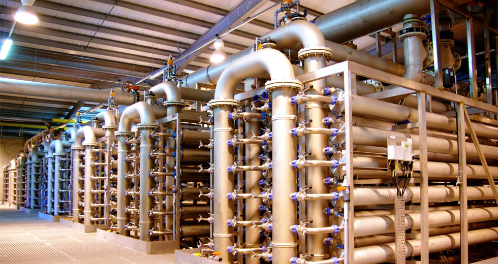 Membrane Elements at plant