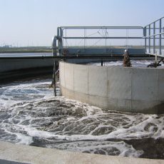 Wastewater feedstock